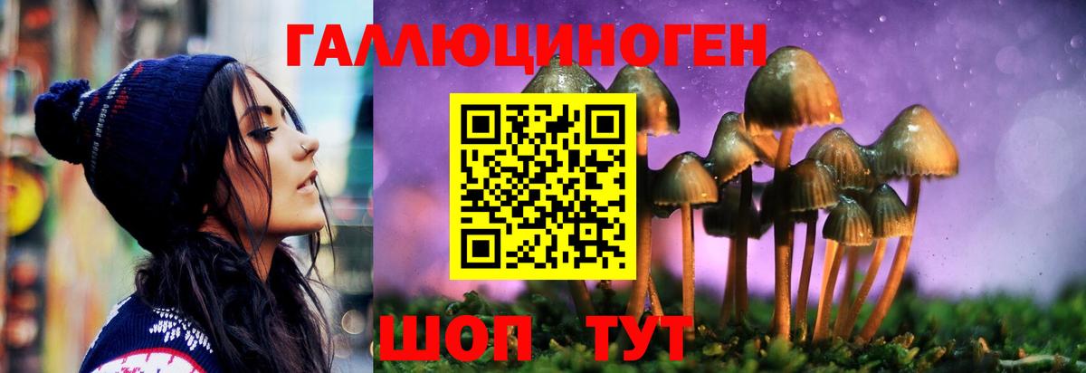Тобольск  Псилоцибиновые грибы прущие грибы  Вход с VPN 